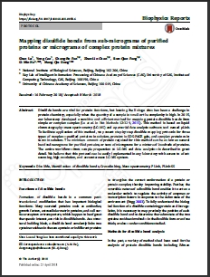 质谱级赖氨酰肽链内切酶                              Lysyl Endopeptidase®