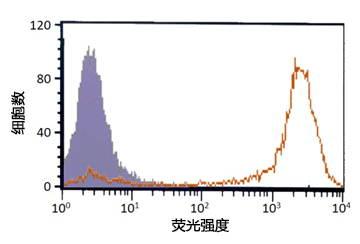 iPSelector (Anti-LNFP Ⅰ, Human, Mouse-Mono(R-17F)）                              新型人iPS/ES细胞标记抗体