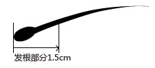 ISOHAIR                              从毛发・指甲提取DNA试剂盒