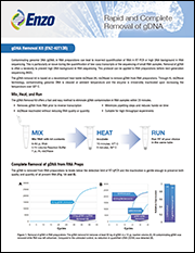 gDNA removal kit                              从RNA提取物中快速、完全去除gDNA